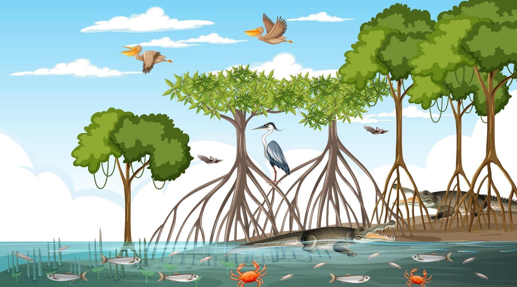 Mangrove forest landscape scene at daytime with many different animals vector