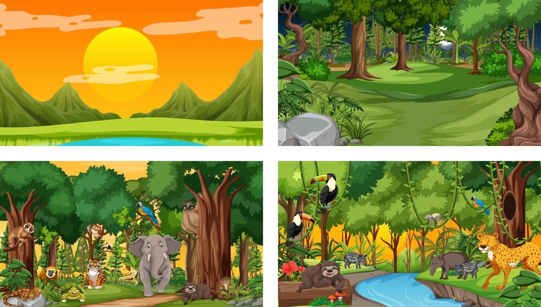 Diferentes escenas de la naturaleza del bosque y la selva tropical con animales salvajes. vector