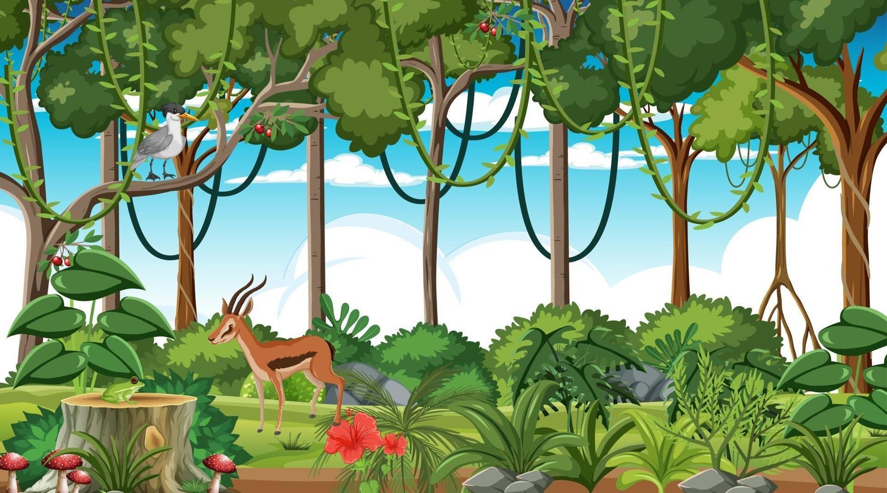 Rainforest at daytime scene with different wild animals vector