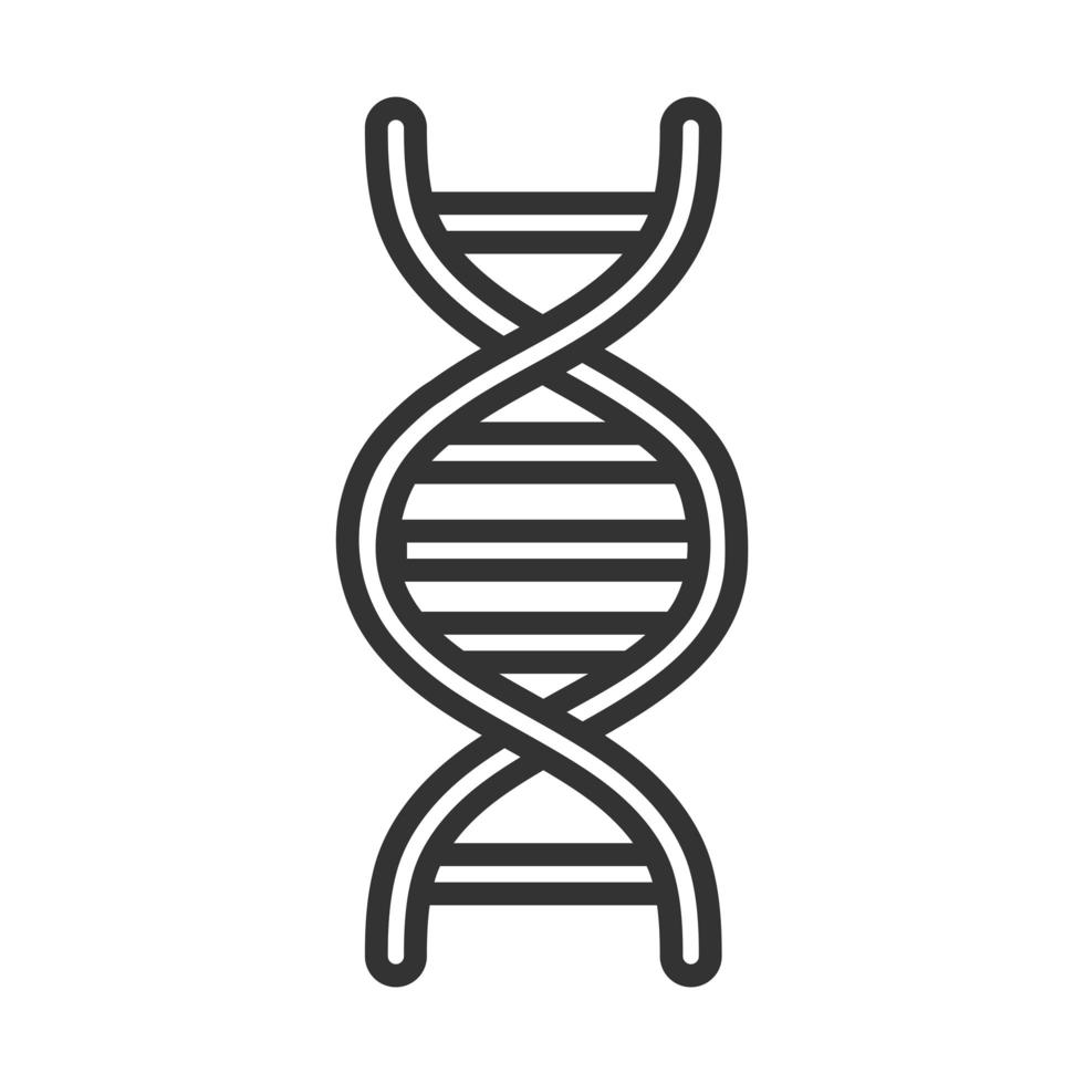 medical dna molecule genetic structure line icon design vector