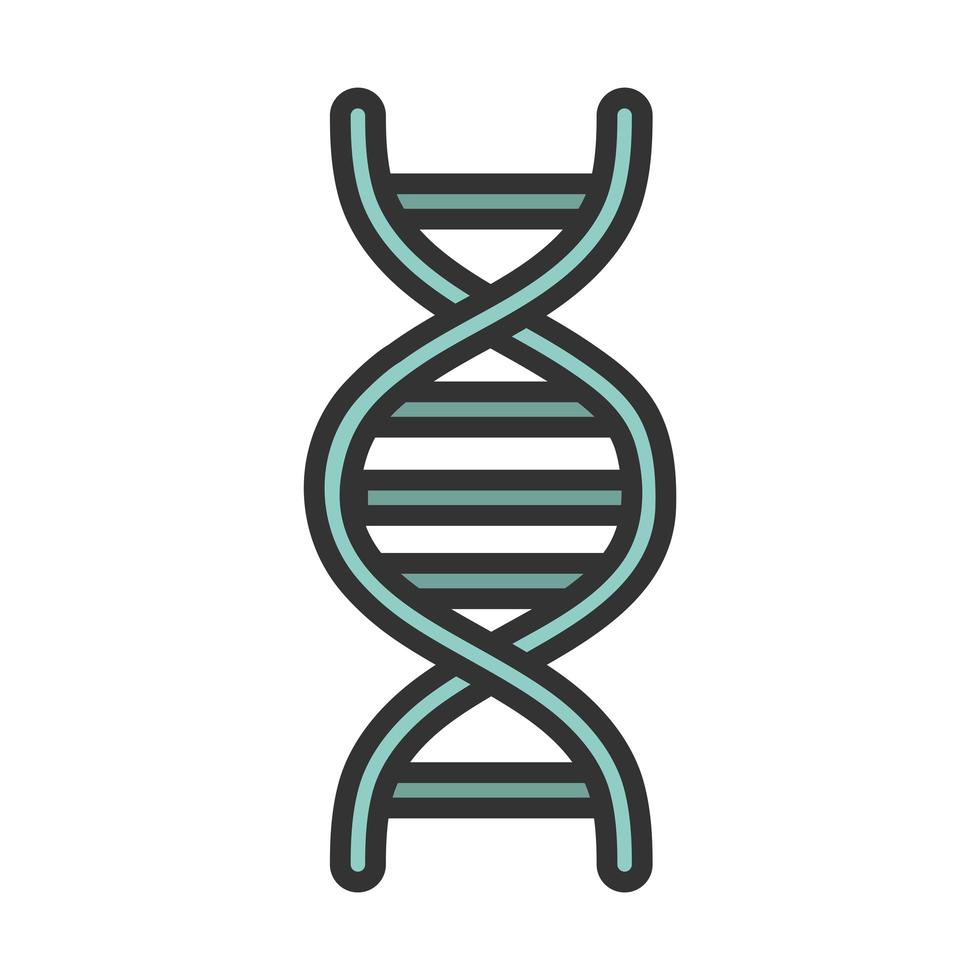 medical dna molecule genetic structure line and fill vector