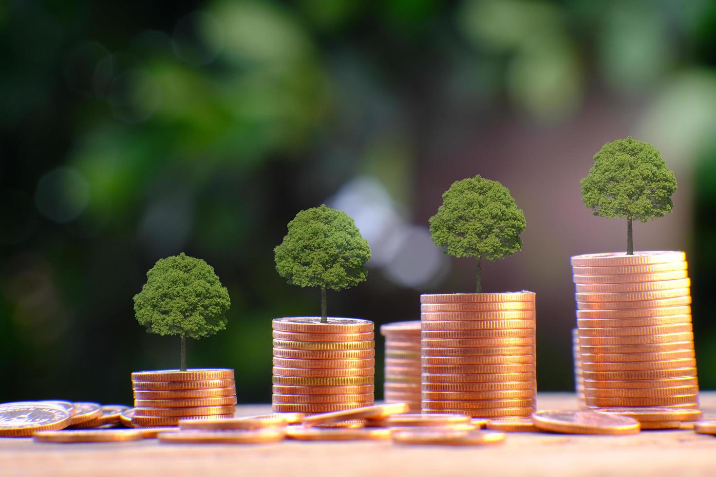 Stack of coins with trees photo