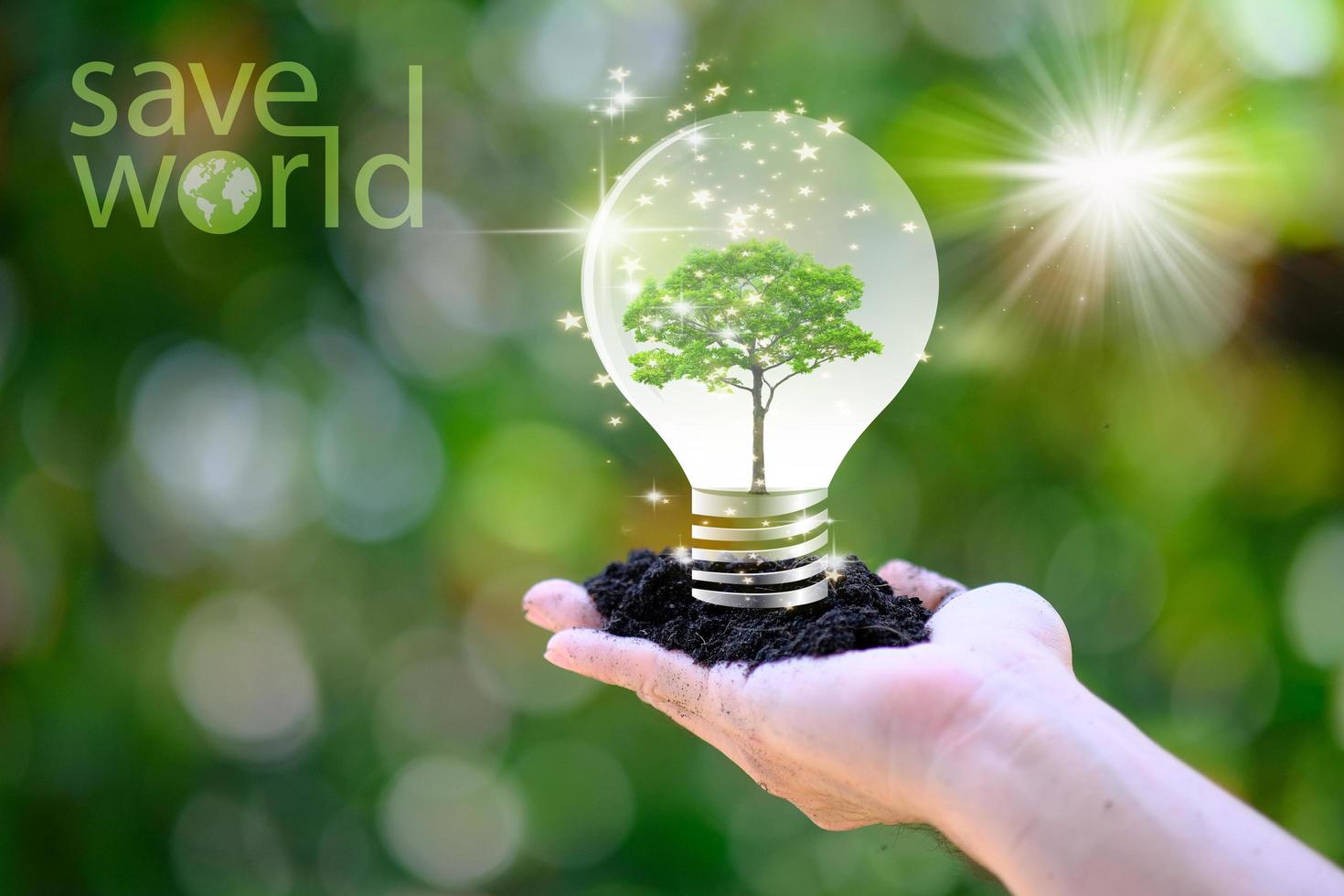 Hand holding lightbulb with a tree inside on a bokeh nature background photo