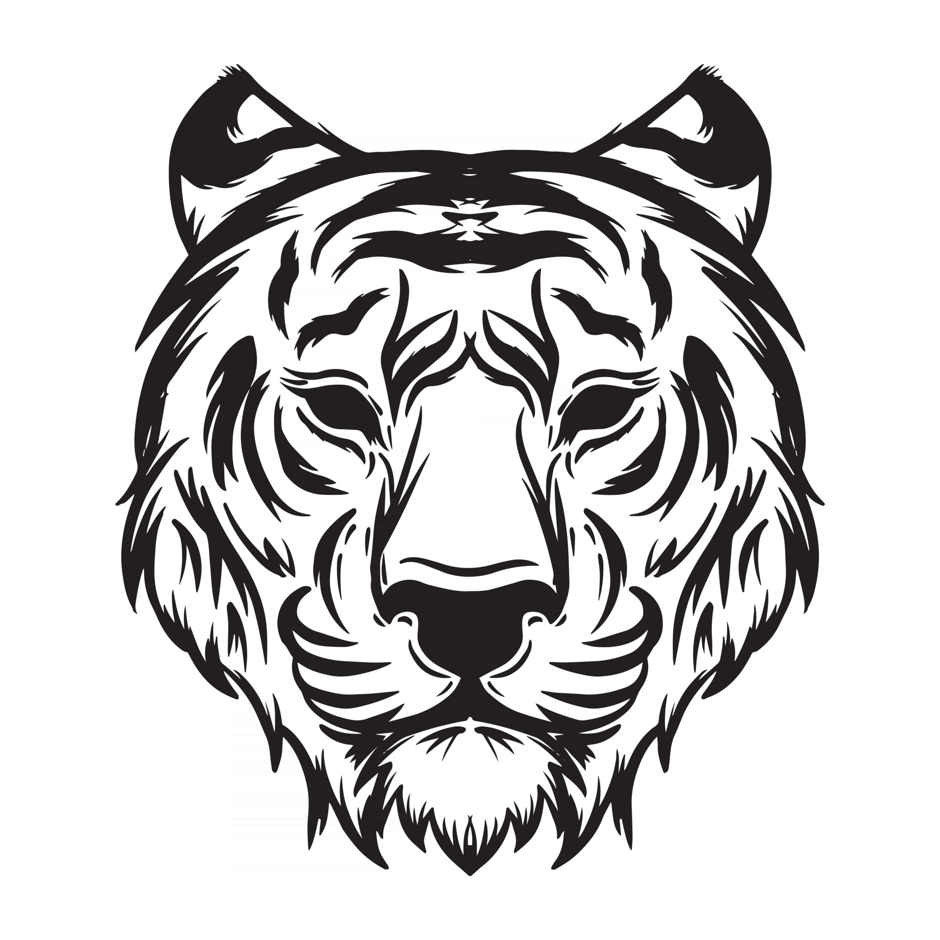 white tiger drawing