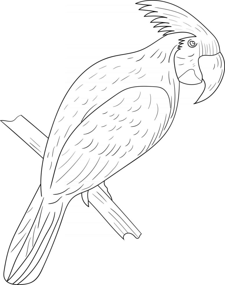 outline cockatoo on a branch pattern perfect for coloring page vector