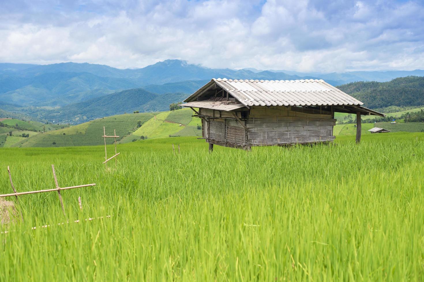 Terrazas de arroz verde en Filipinas. foto