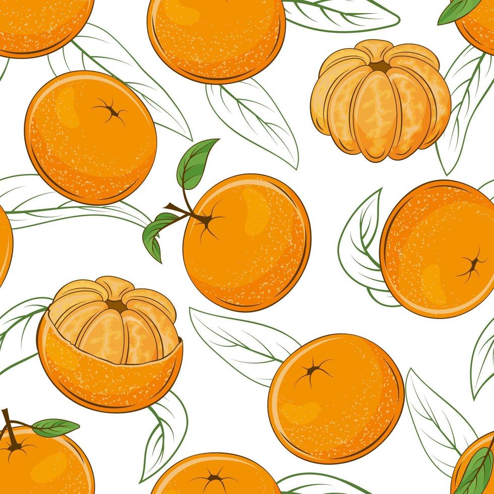 Seamless Pattern from Juicy Mandarins vector