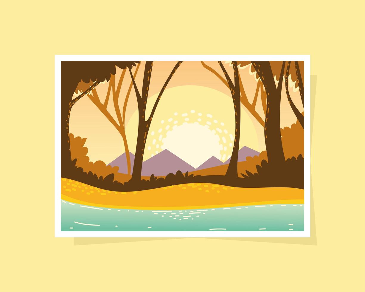 forest sunset river vector