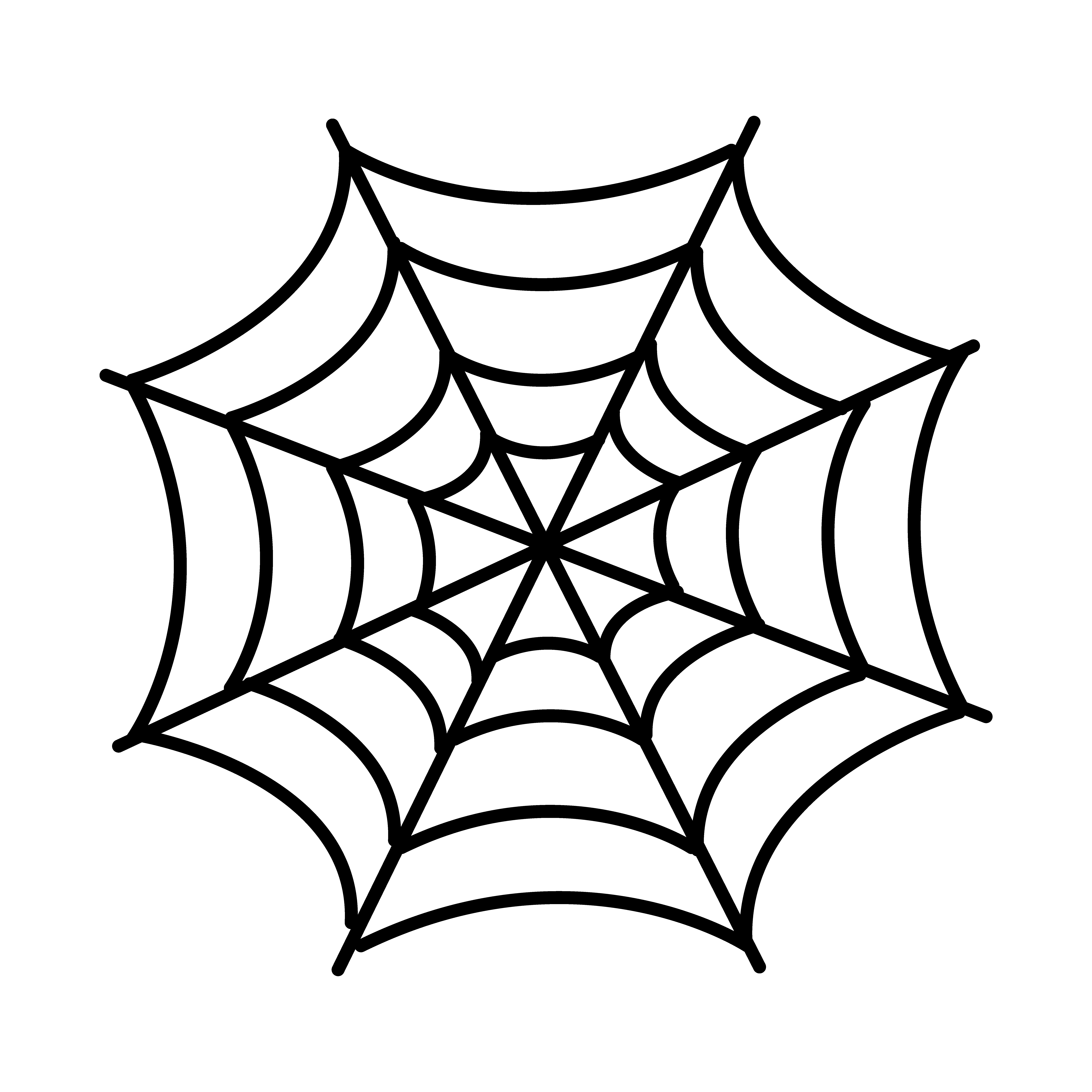 Spider Net Vector Art, Icons, and Graphics for Free Download