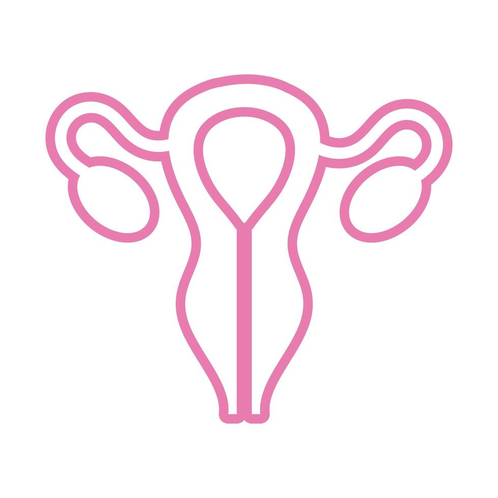 female reproductive organ line style icon vector