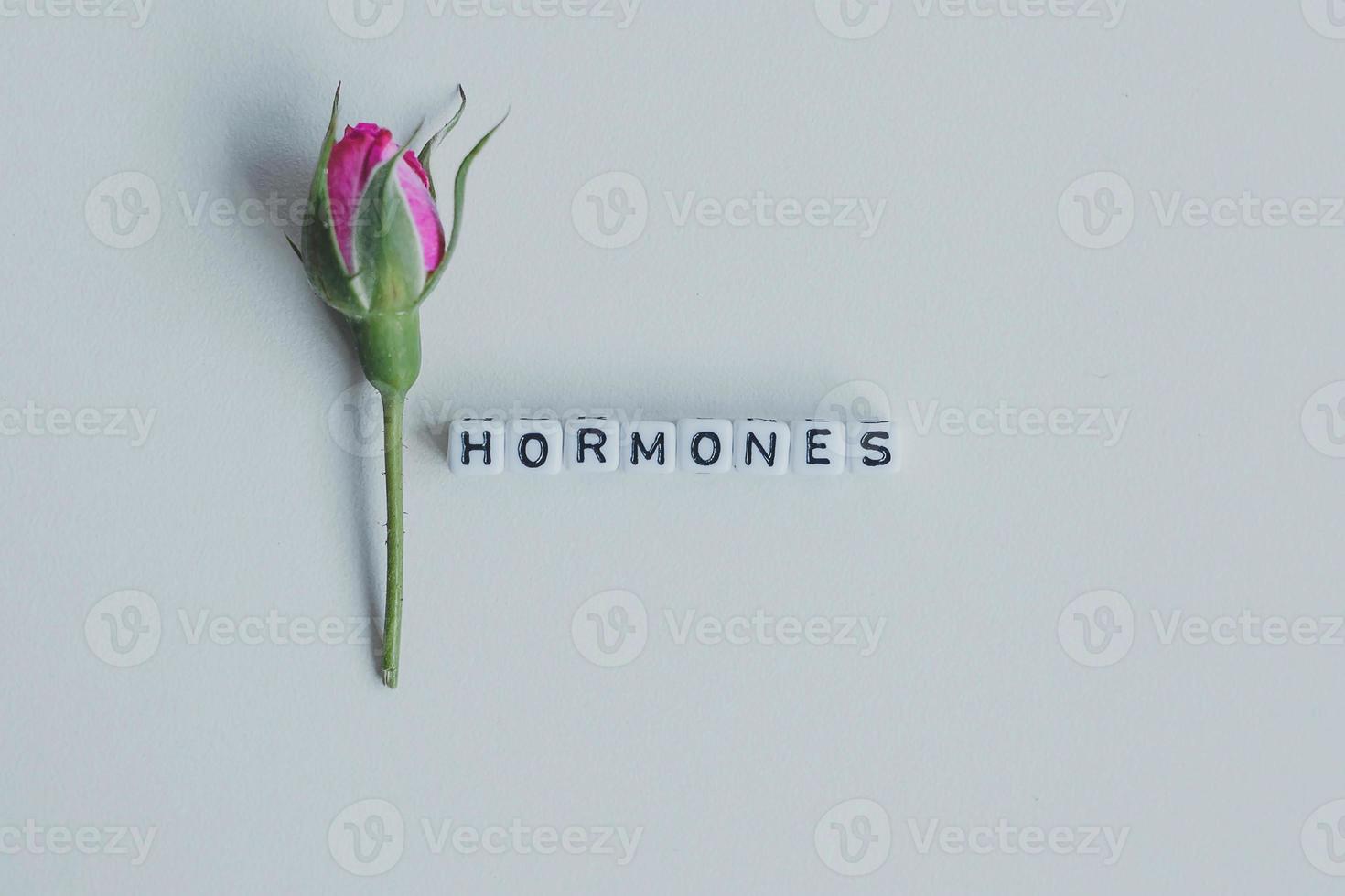 Hormonas palabra cubos sobre un fondo blanco. foto