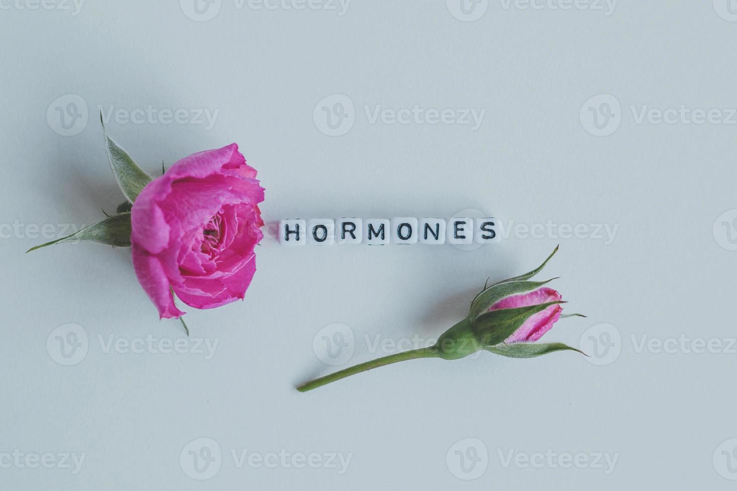 Hormones word cubes on a white background photo