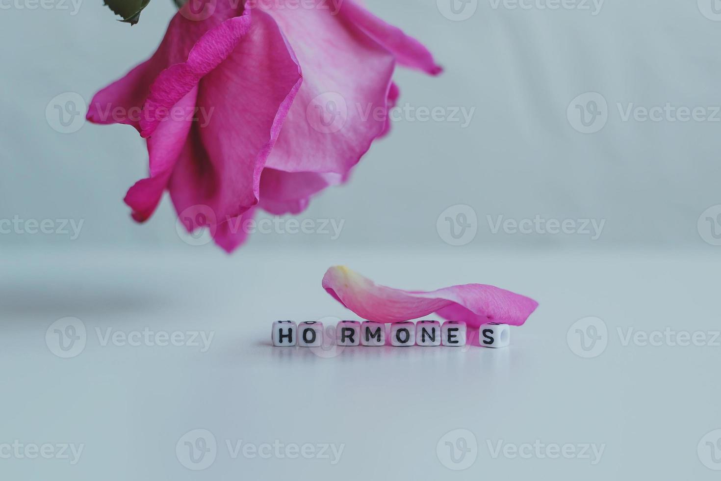 Hormones word cubes on a white background photo