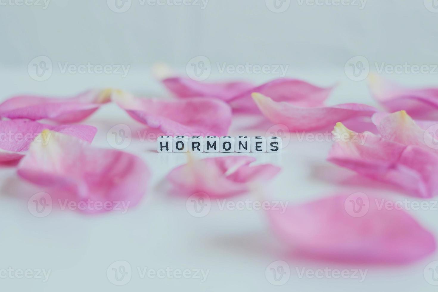 Hormones word cubes on a white background photo