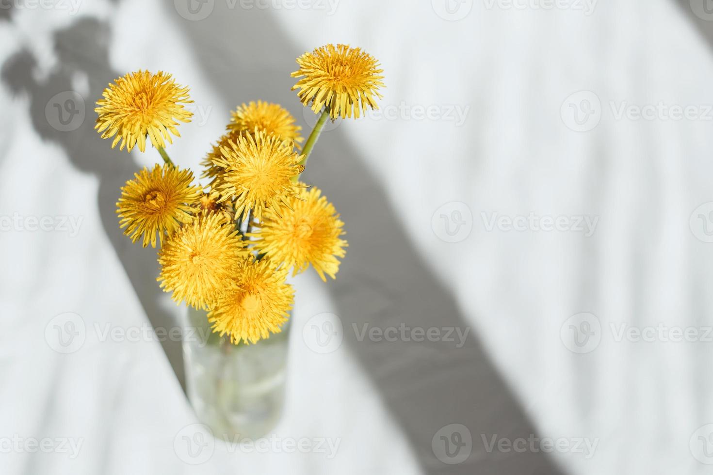 Bouquet of yellow dandelions, on a light background. Summer concept. photo