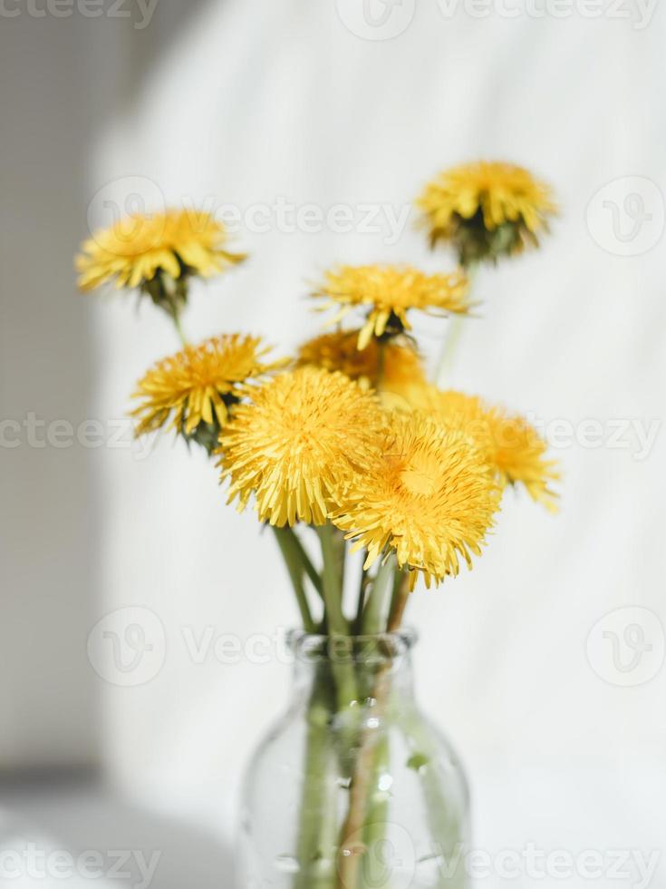 Bouquet of yellow dandelions, on a light background. Summer concept. photo