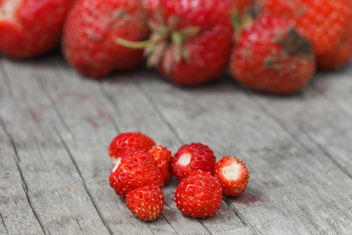 fresas frescas del jardín frutas silvestres crudas foto