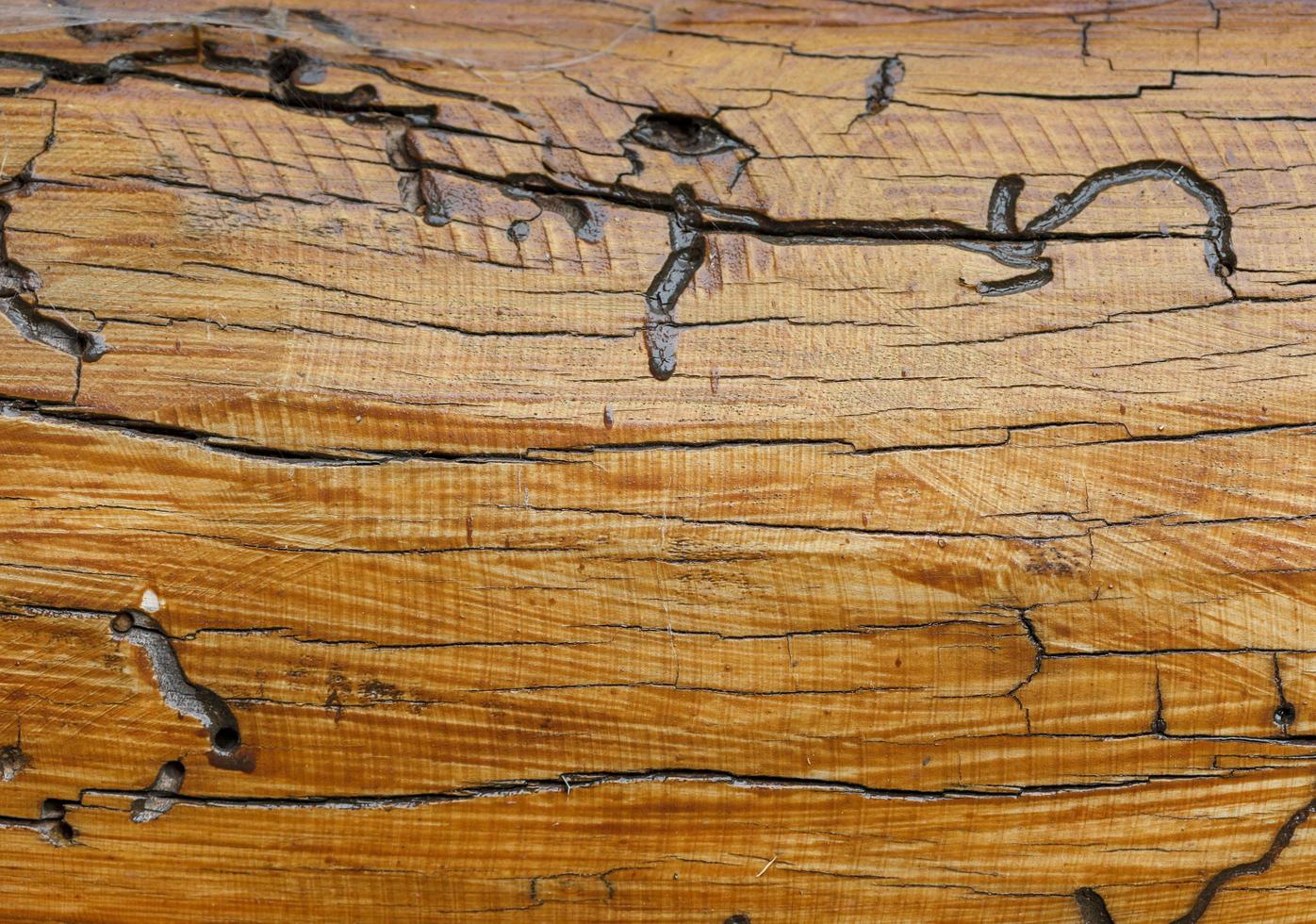 textura de fondo de madera foto