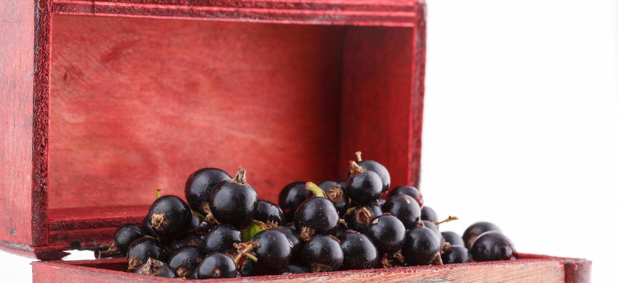 grosella negra, bayas del bio jardín saludable sabor de verano frutas silvestres foto