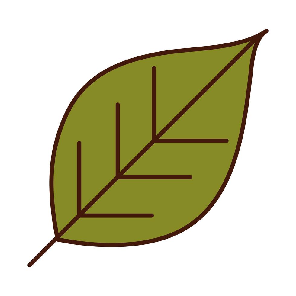 follaje de hoja naturaleza planta línea e icono de relleno vector