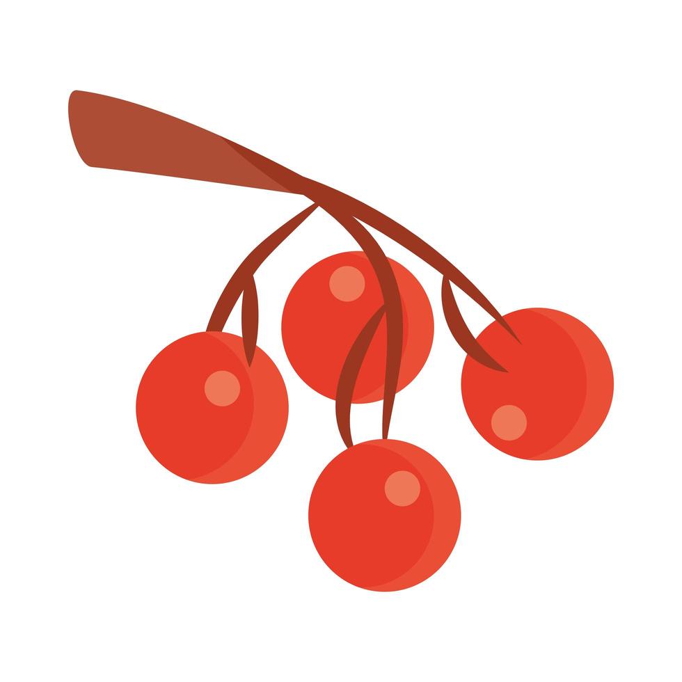 fruits cherries in the branch tree flat icon with shadow vector