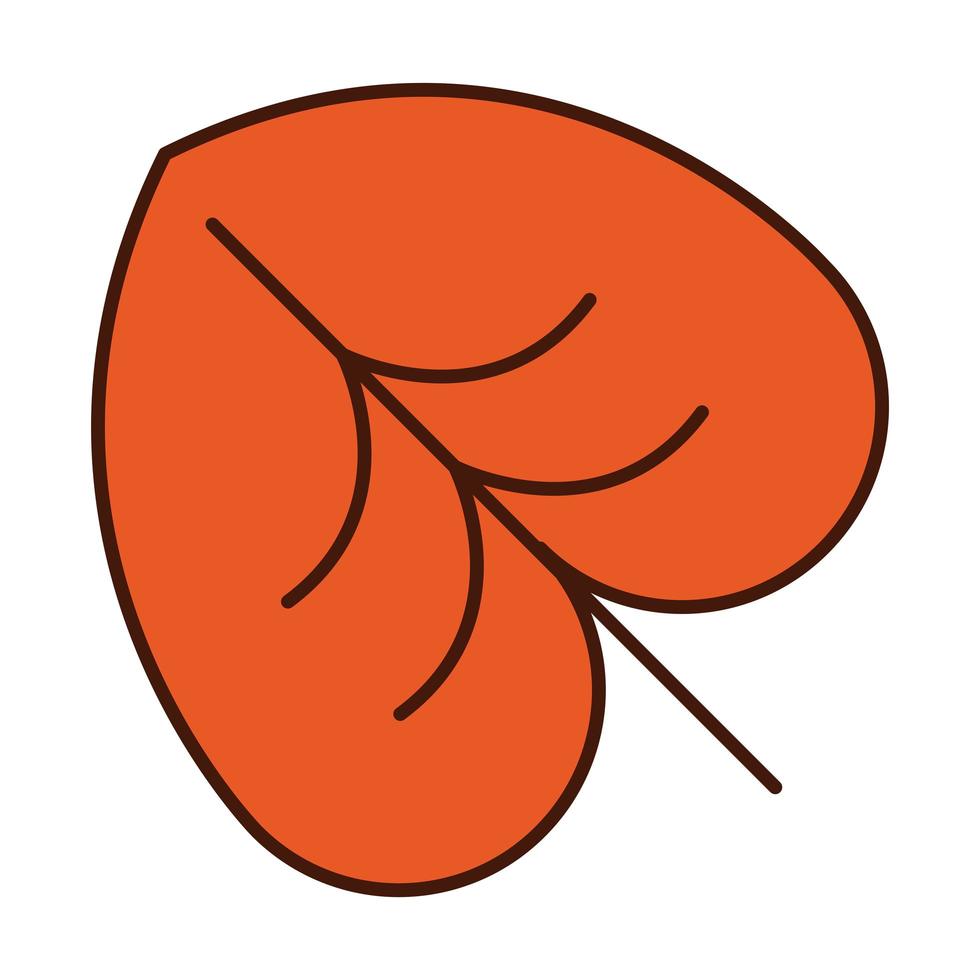 autumn leaf nature botany line and fill icon vector