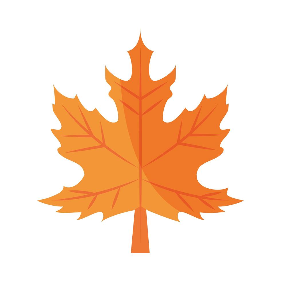 maple leaf foliage autumn flat icon with shadow vector