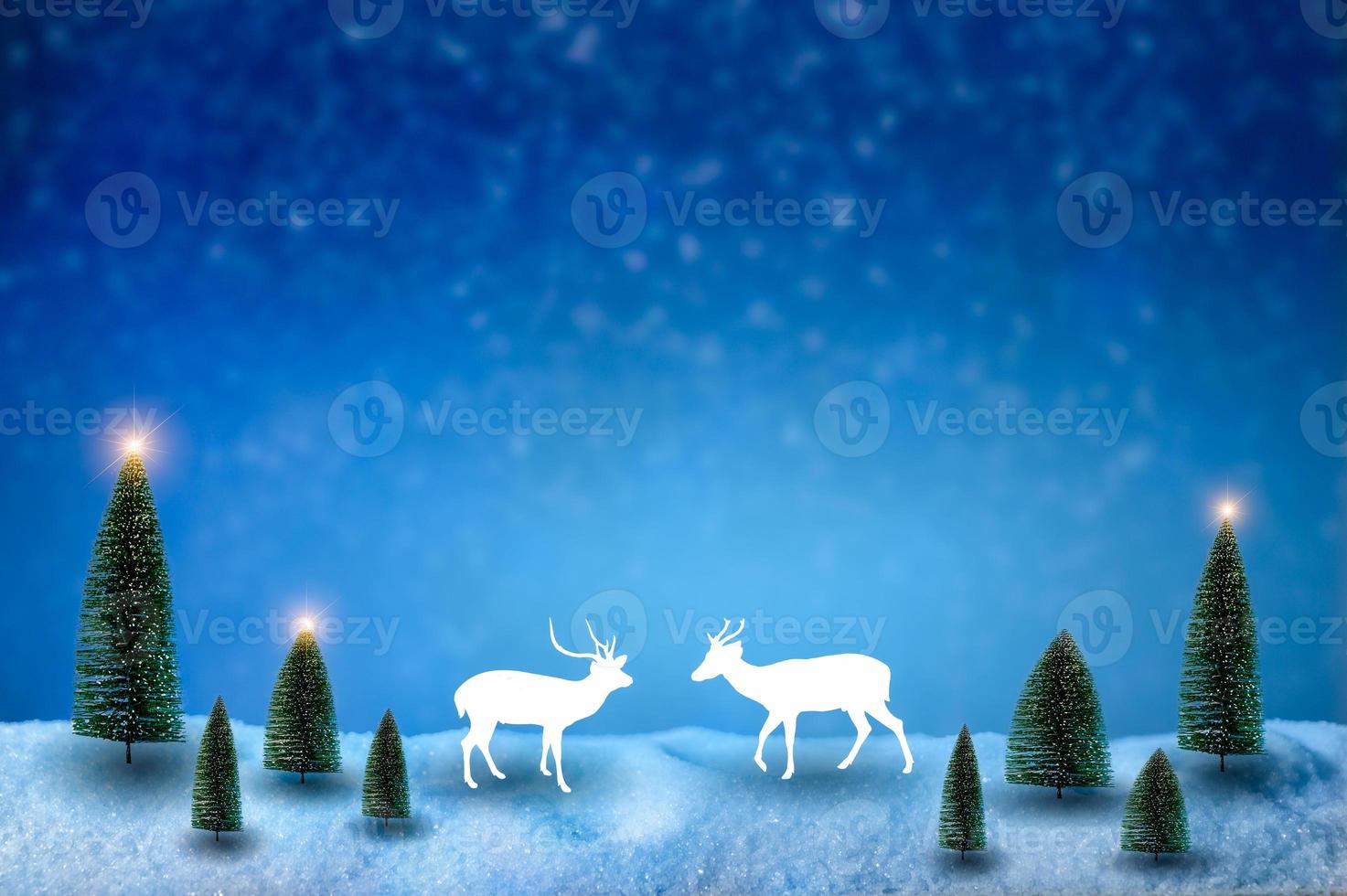 Merry christmas and happy new year greeting background. Christmas Lantern On Snow With Fir photo