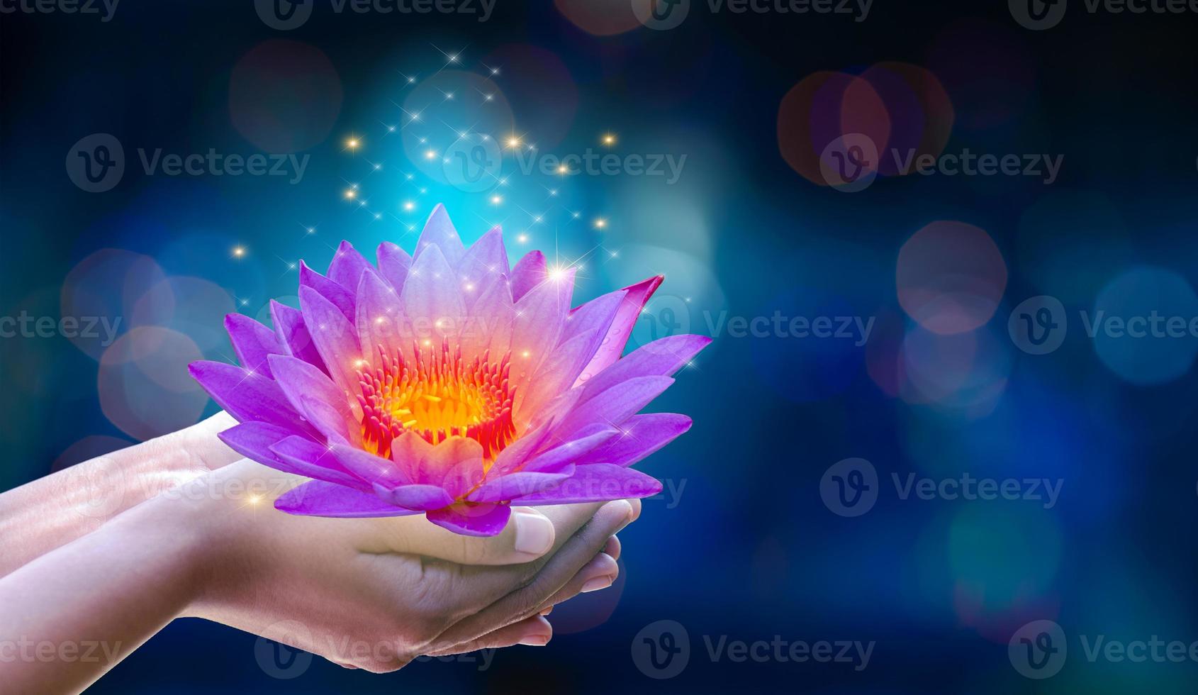 In the hands of a flower lotus Pink light purple floating light sparkle purple background photo