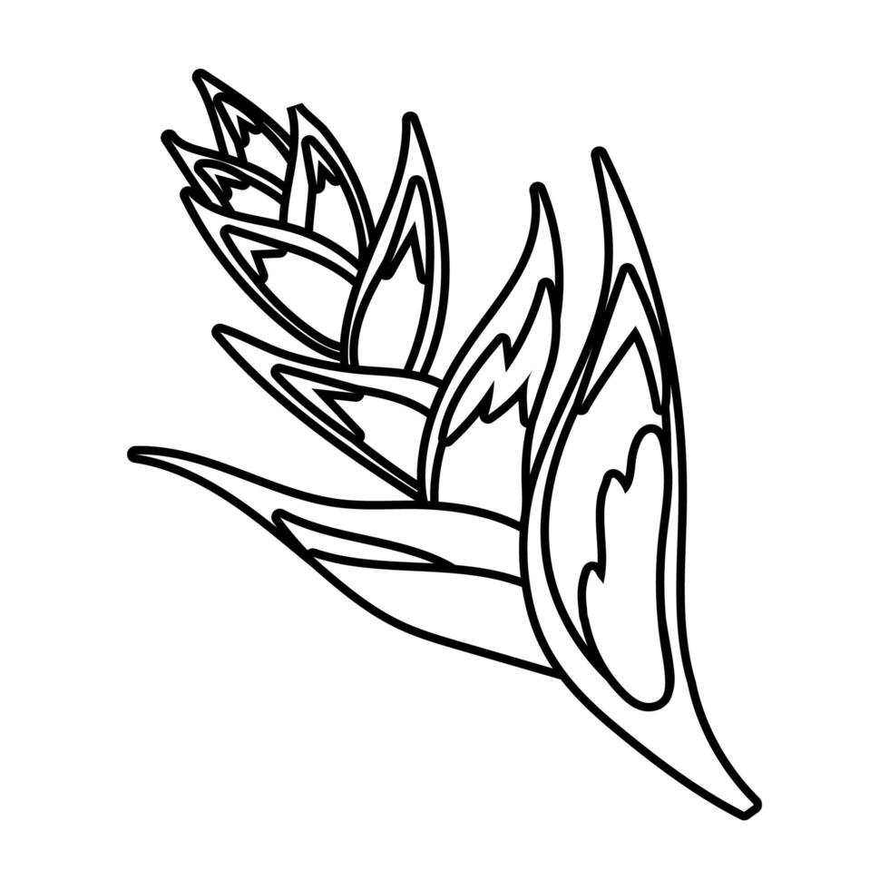 beautiful heliconia flower line style icon vector