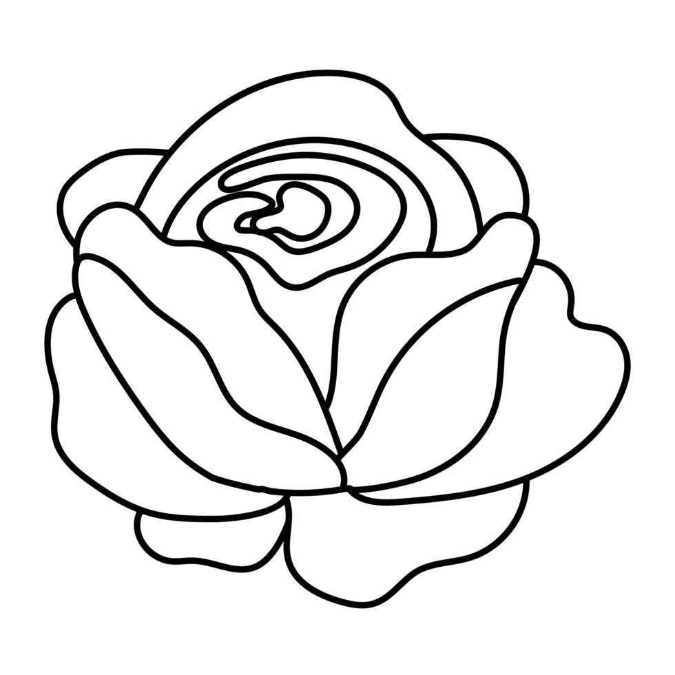 beautiful rose flower garden line style icon vector