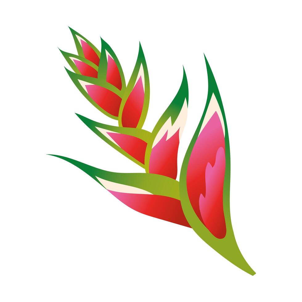 beautiful heliconia flower gradient style icon vector