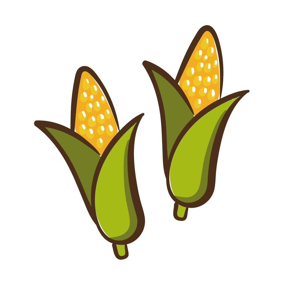 corn cobs hand draw style icon vector