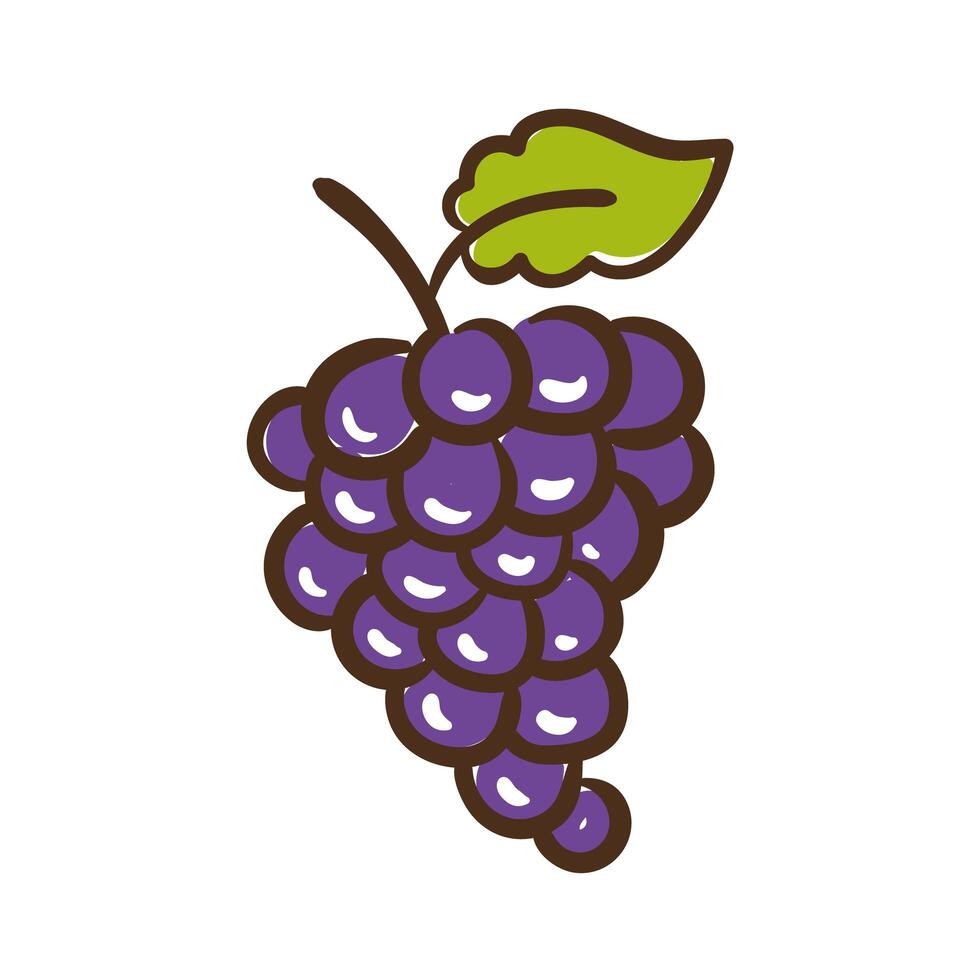 grapes fresh fruits hand draw style icon vector