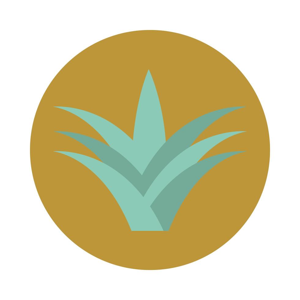 aloe vera plant nature block and flat icon white background vector