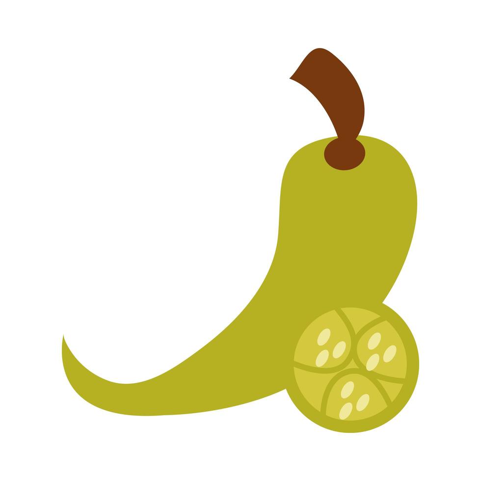 green chili pepper vegetable spice food flat icon vector