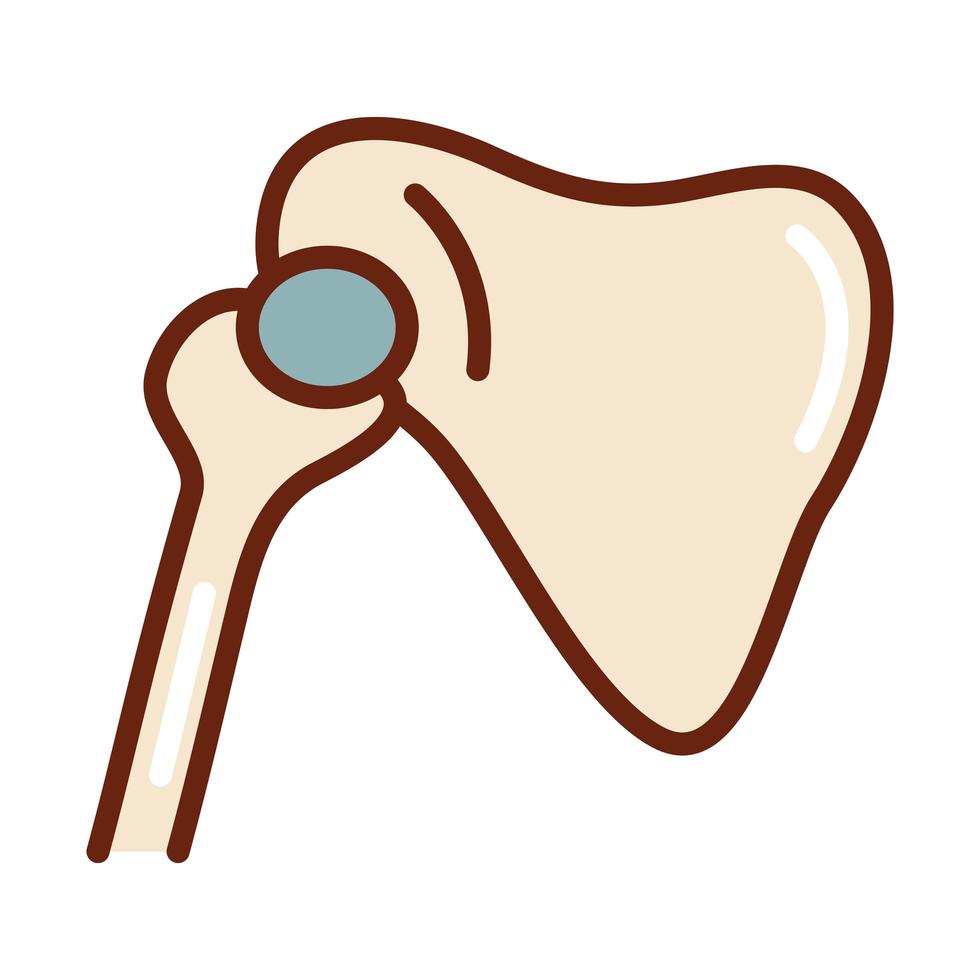 human body limb bone arm scapula anatomy organ health line and fill icon vector