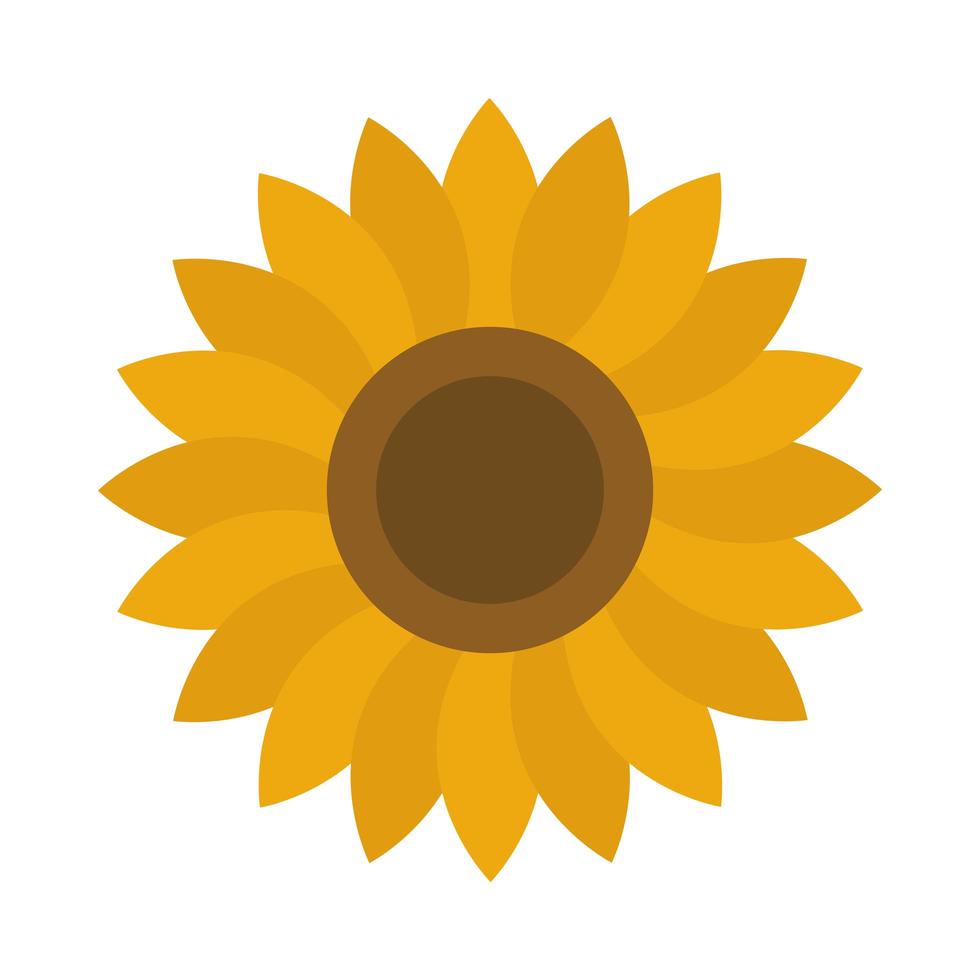 estilo de icono plano de naturaleza de decoración de pétalos de girasol vector