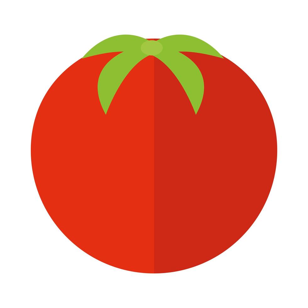 agriculture and farming harvest tomato vegetable flat icon style vector