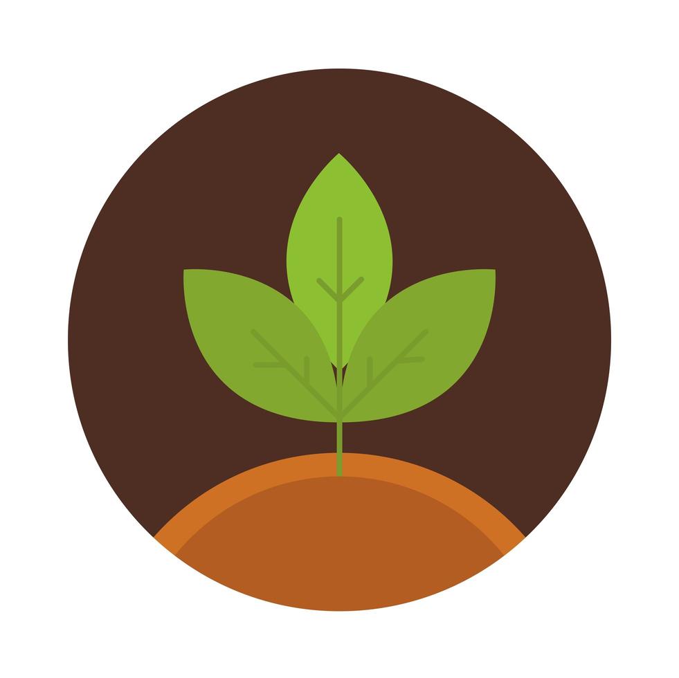 agriculture and farming growth plant ground block and flat icon vector