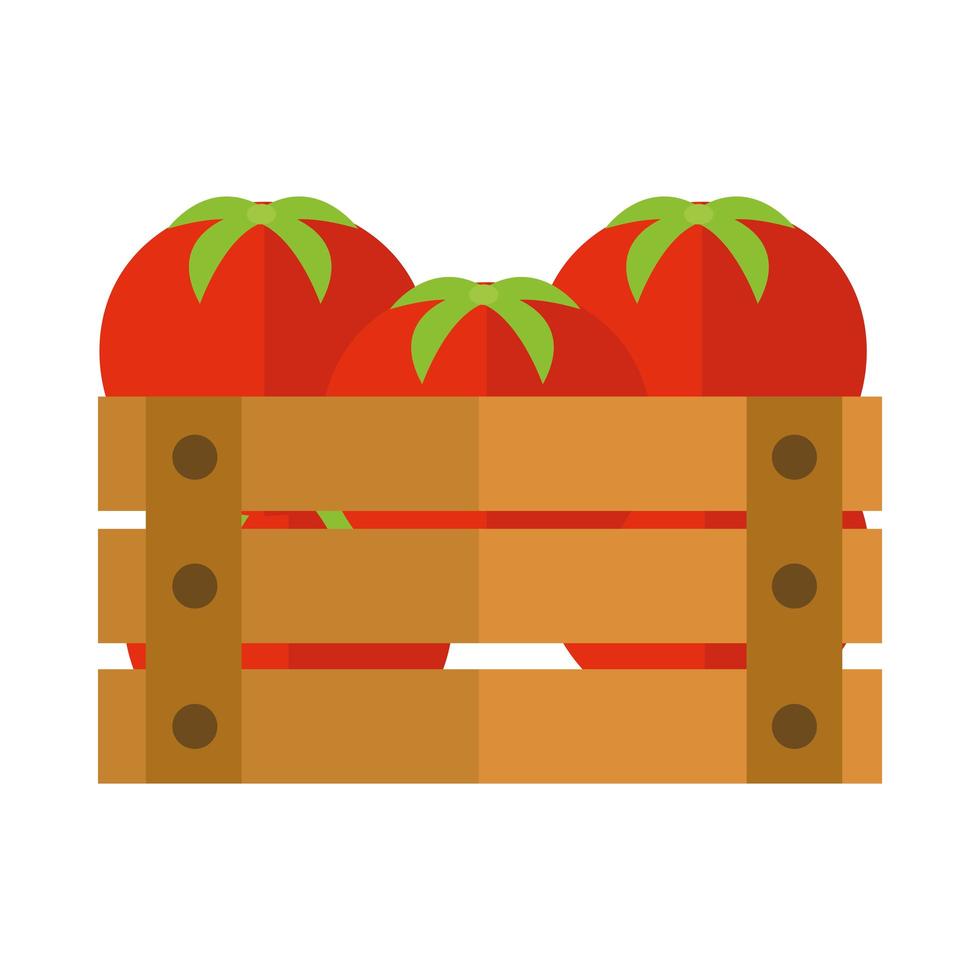 agriculture and farming harvest fresh tomatoes in box flat icon style vector