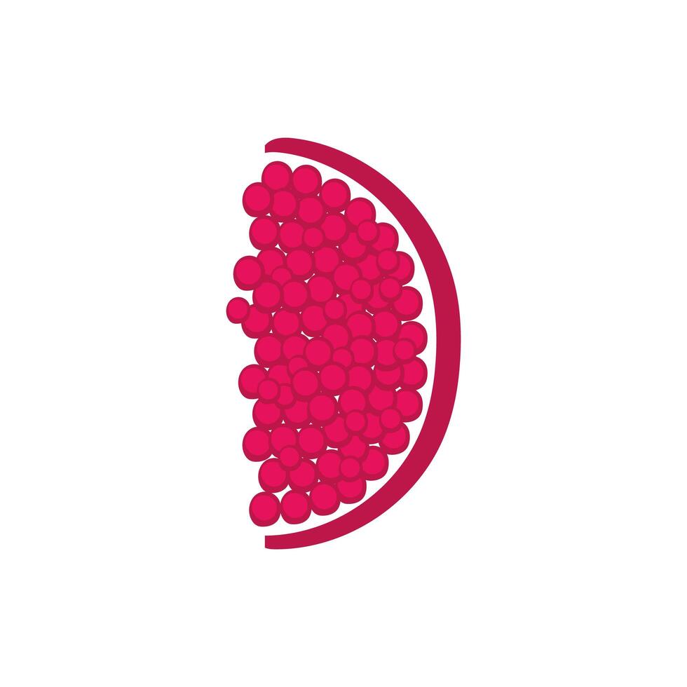 pomegranate portion fruit fresh nature icon vector