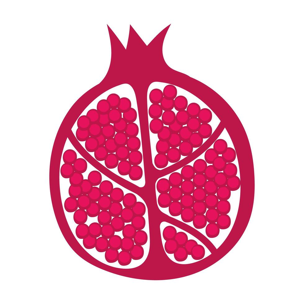 half pomegranate fruit fresh nature icon vector