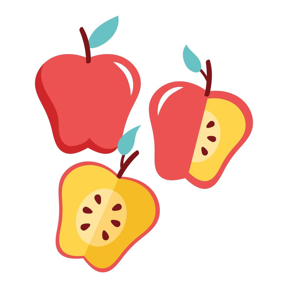 apples red fresh fruits nature icons vector