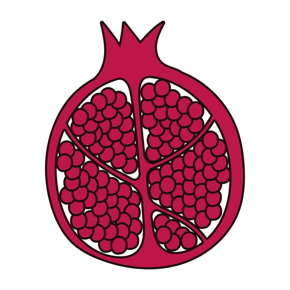 half pomegranate fruit fresh nature icon vector