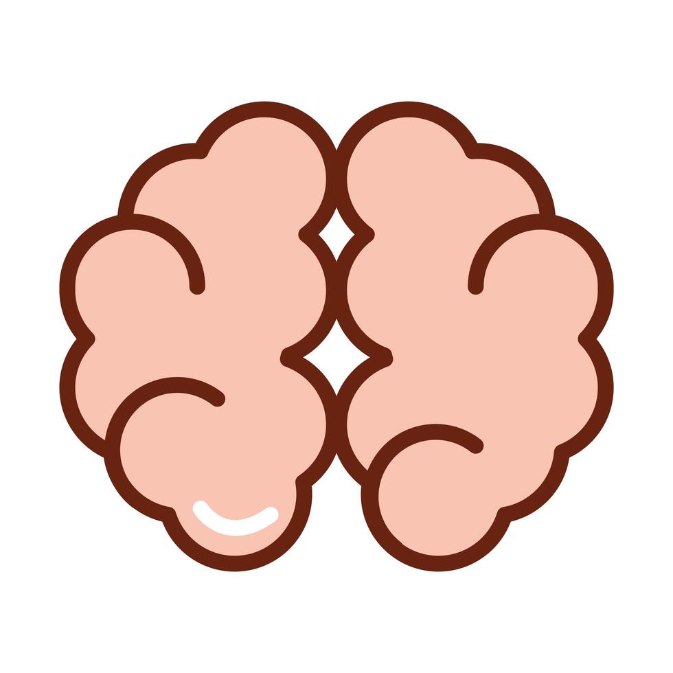 human body brain cerebral hemisphere anatomy organ health line and fill icon vector