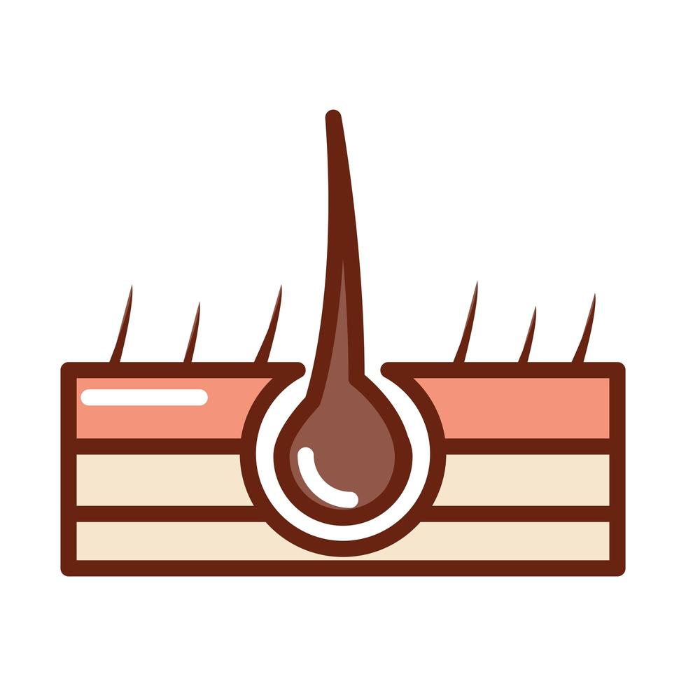 estructura del cuerpo humano del folículo piloso anatomía órgano salud línea e icono de relleno vector