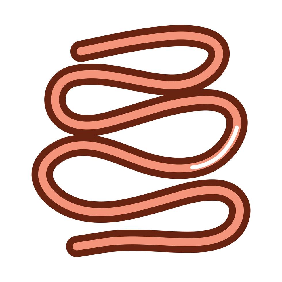 human body small intestine anatomy organ health line and fill icon vector