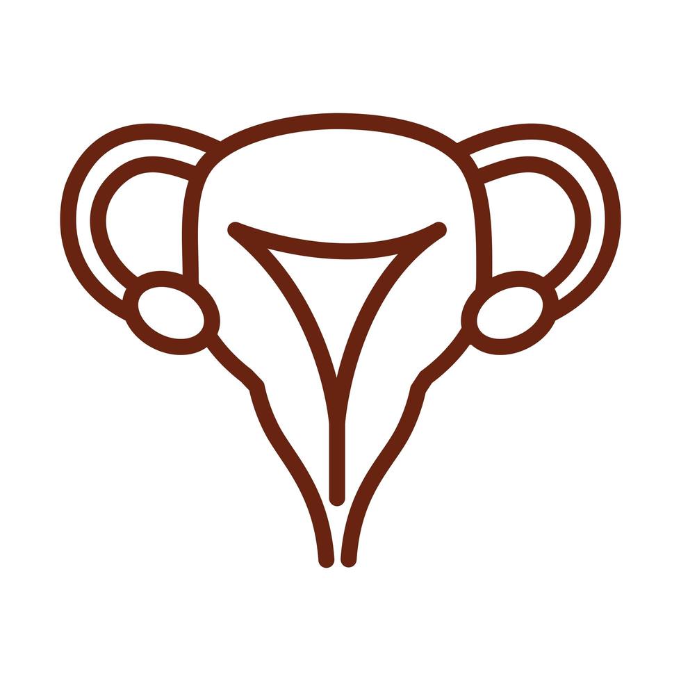 human body female reproductive system anatomy organ health line icon style vector