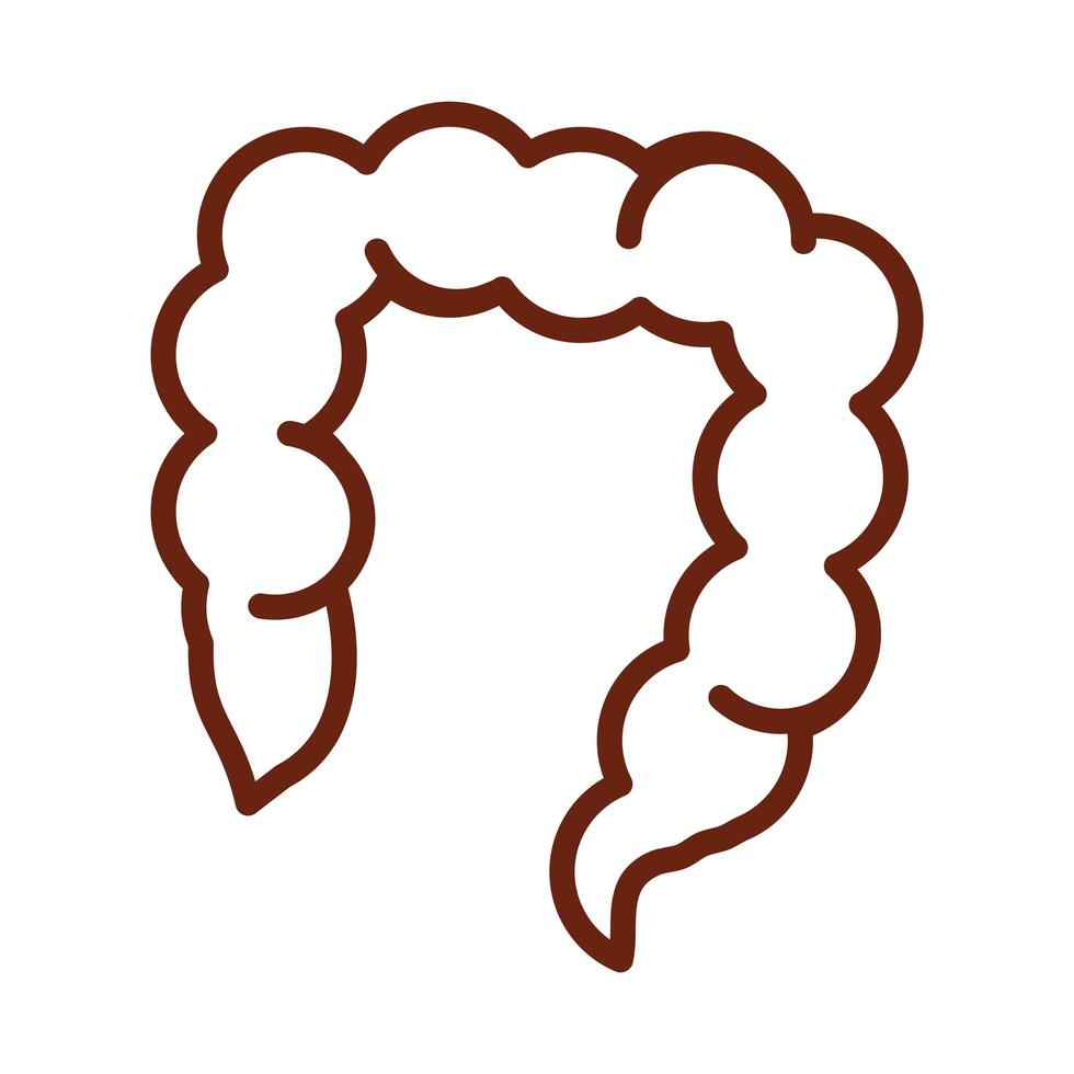 human body large intestine anatomy organ health line icon style vector